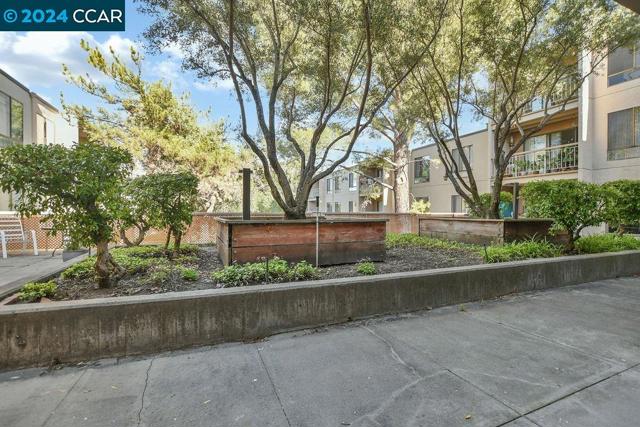 490 N Civic Drive, Walnut Creek CA: https://media.crmls.org/mediaz/899f4176-557b-4761-990e-1dfbbc3886e3.jpg
