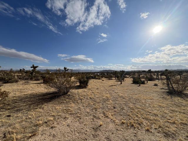 0 Campanula Street, Yucca Valley CA: https://media.crmls.org/mediaz/89a6c718-8d17-4ae4-a6cd-9a15461fc787.jpg