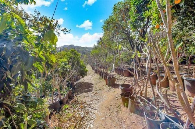 2081 Elevado Road, Vista CA: https://media.crmls.org/mediaz/89ac2bd2-d308-47e0-8979-551da7cecde2.jpg
