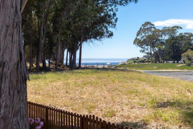 125 Moran Way, Santa Cruz CA: https://media.crmls.org/mediaz/89c5dd80-94a2-407c-ad5d-de3b5690c756.jpg