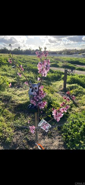 Detail Gallery Image 55 of 70 For 30606 Falling Star Circle, Valley Center,  CA 92082 - 4 Beds | 3 Baths