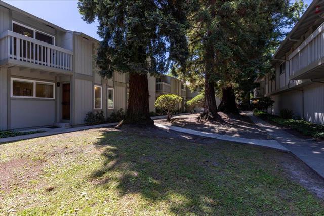 83 Devonshire Avenue, Mountain View CA: https://media.crmls.org/mediaz/89c94015-124f-427d-bd85-1fd506a35303.jpg