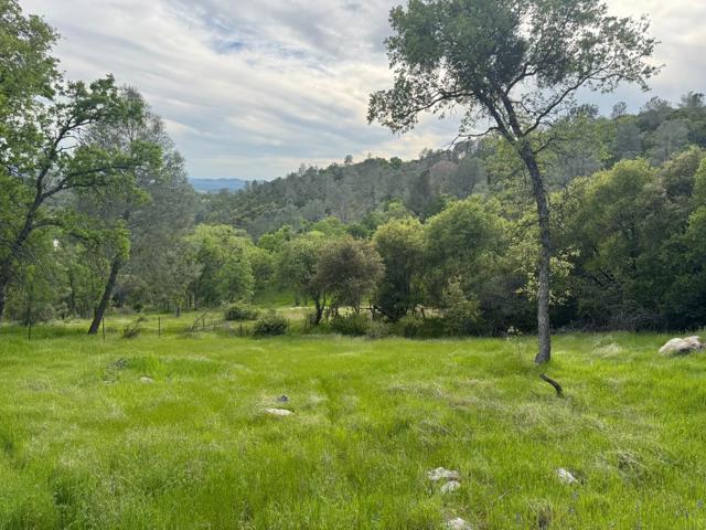0 Cabezut Road, Sonora CA: https://media.crmls.org/mediaz/89db0f73-24bd-4775-856c-3118e8cc8b5b.jpg