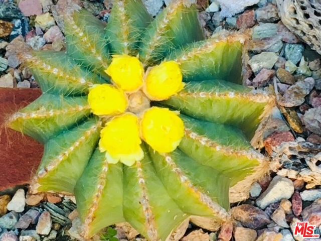 931 S Ogden Drive, Los Angeles CA: https://media.crmls.org/mediaz/89e6139f-0443-46d3-9bc2-b75eb08ebbeb.jpg