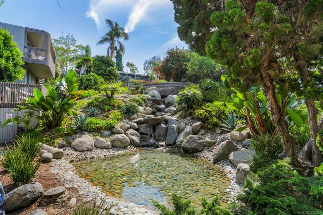 155 Rosebay Dr, Encinitas CA: https://media.crmls.org/mediaz/89e87098-c72b-4015-ab6a-54a453d48741.jpg