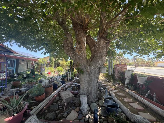 7585 Joshua Lane, Yucca Valley CA: https://media.crmls.org/mediaz/89e8a1cd-c750-4379-aefa-07346c3a813c.jpg