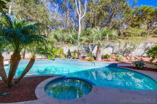 10555 Pine Falls Ct, San Diego, California 92131, 4 Bedrooms Bedrooms, ,2 BathroomsBathrooms,Single Family Residence,For Sale,Pine Falls Ct,250018158SD