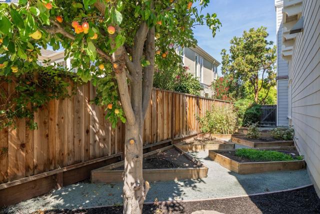 3633 Terrazzo Ct, Pleasanton CA: https://media.crmls.org/mediaz/89eef4f0-97b5-4f3e-be98-70aec7a4e657.jpg