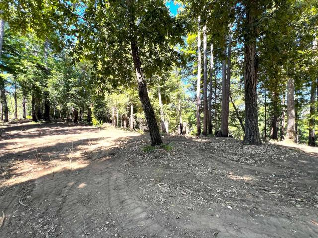 0 E Hilton, Boulder Creek CA: https://media.crmls.org/mediaz/89f2466b-d3b6-4a36-a812-4d2c4a5e942e.jpg