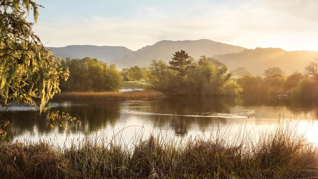 MLS #ML82008507 image #13