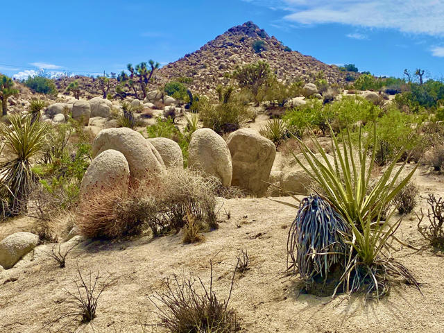 104 Bandera Road, Yucca Valley CA: https://media.crmls.org/mediaz/89f47f41-3e44-4ec5-b4ba-6172ab6e6bac.jpg
