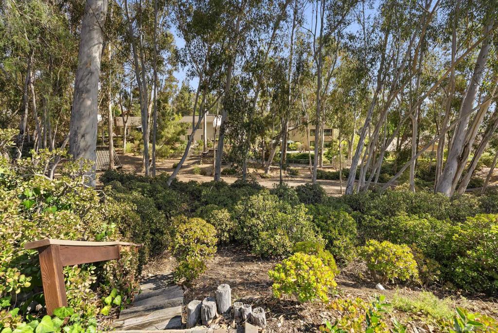 MLS #250036345SD img 42