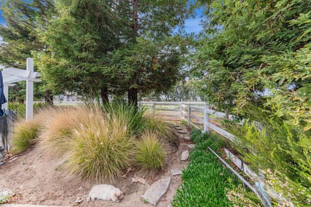 560 Tevis Trail, Hollister CA: https://media.crmls.org/mediaz/89faf6f0-77a1-4bdc-a2a6-e57e494eab7c.jpg