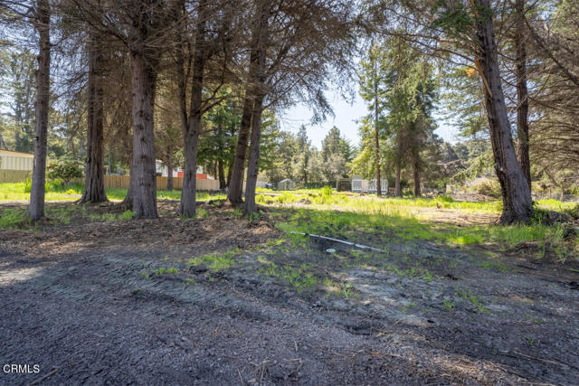 Detail Gallery Image 7 of 9 For 32625 Happy Ln, Fort Bragg,  CA 95437 - – Beds | – Baths