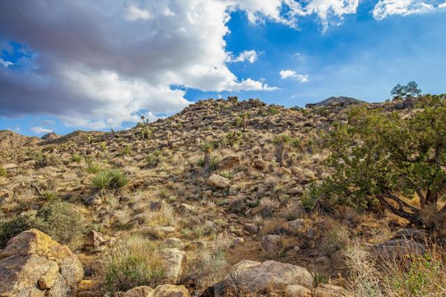 8744 Star Lane, Joshua Tree CA: https://media.crmls.org/mediaz/8a02008f-d9a4-406e-98b6-392005e1cd07.jpg
