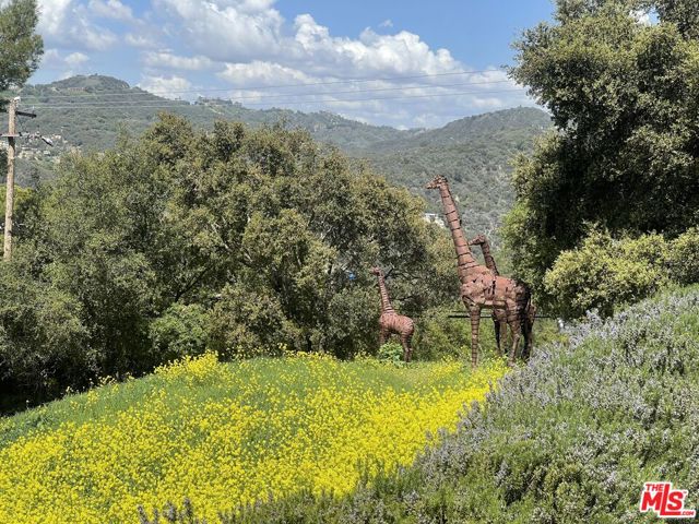 1 Colina Drive, Topanga CA: https://media.crmls.org/mediaz/8a096814-dbe9-461b-96b7-29ea8a8dd621.jpg