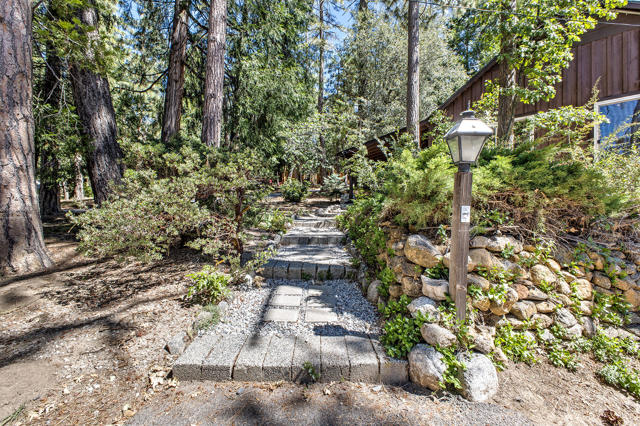 Image 3 for 25460 Lodge Rd, Idyllwild, CA 92549