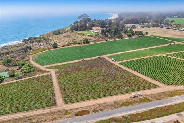 390 Heather Point Lane, Watsonville CA: https://media.crmls.org/mediaz/8a166ce6-18d0-4b9d-9edf-83c881c9c8b5.jpg