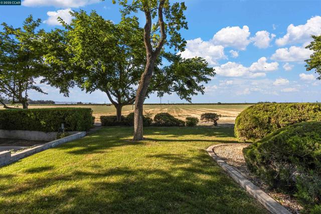 5435 Box R Ranch Rd, Vacaville CA: https://media.crmls.org/mediaz/8a248563-7b96-4c4b-9228-782daec6d28d.jpg