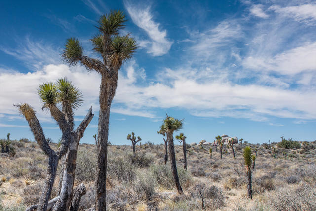 Image 6 of 26 For 101 Hondo Street