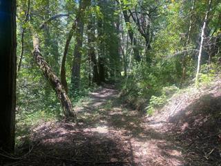 17000 Bear Creek Road, Boulder Creek CA: https://media.crmls.org/mediaz/8a3c21b3-a38a-41a7-964e-a73bfad65d5e.jpg