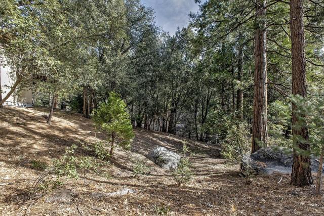 55283 Pine Crest, Idyllwild CA: https://media.crmls.org/mediaz/8a42344d-ab95-4204-adc0-114b5b09b398.jpg