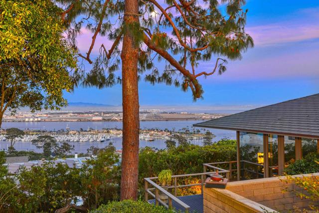 567 GAGE LANE, San Diego CA: https://media.crmls.org/mediaz/8a529eb3-fedd-4cc5-8f26-b1b51ab7c2f3.jpg