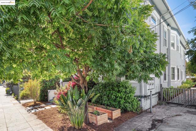 478 43rd St, Oakland CA: https://media.crmls.org/mediaz/8a5412cd-7c4f-424e-bc8b-9ccf302fa106.jpg