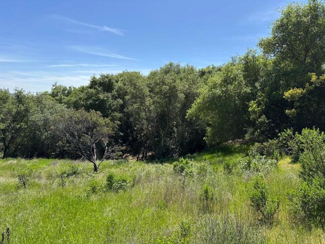 Image 8 of 19 For 0 El Caminito Road