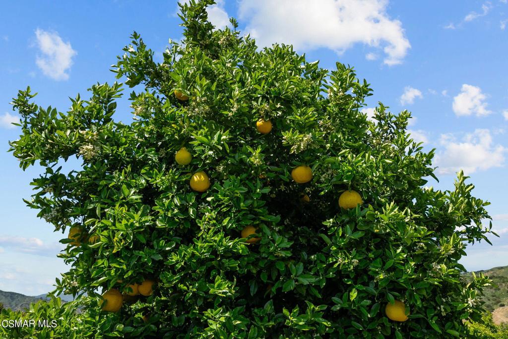 https://media.crmls.org/mediaz/8a62be65-504e-4acd-a8a7-d6ae5451be11.jpg?preset=X-Large