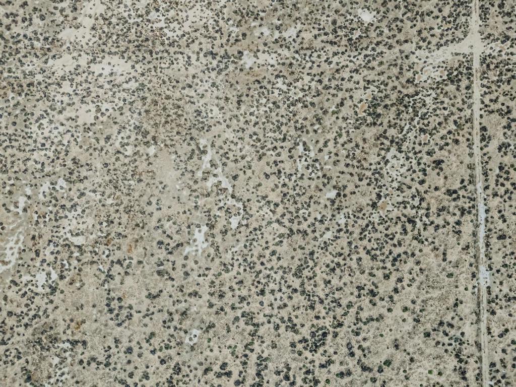 MLS #ML82024761 image #17