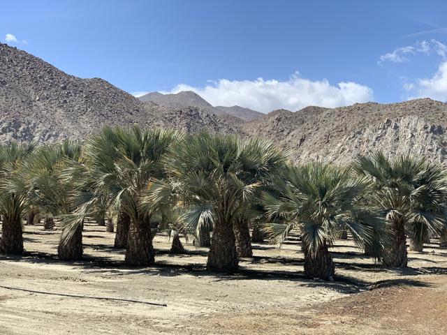 82501 65th Avenue, Thermal CA: https://media.crmls.org/mediaz/8a653117-1062-43f0-9753-0719f5eb3a78.jpg