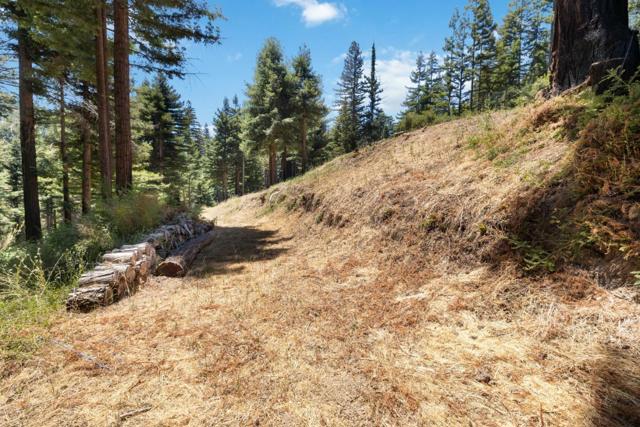 830 Kings Highway, Boulder Creek CA: https://media.crmls.org/mediaz/8a696022-dc43-445d-99ab-9b21b1c75bbe.jpg