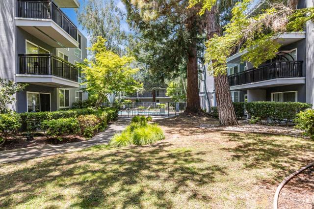 181 Del Medio Avenue, Mountain View CA: https://media.crmls.org/mediaz/8a69ce70-c146-40fb-952a-800dc3d0a793.jpg