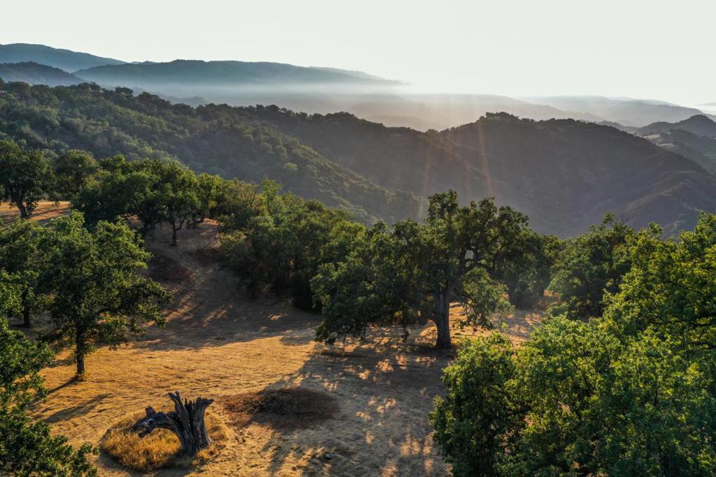 MLS #ML82007882 image #1