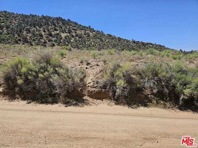 0 Pine Grove Dr, Tehachapi CA: https://media.crmls.org/mediaz/8a6dcd32-fbdb-48cb-bd26-71b3d07954f1.jpg