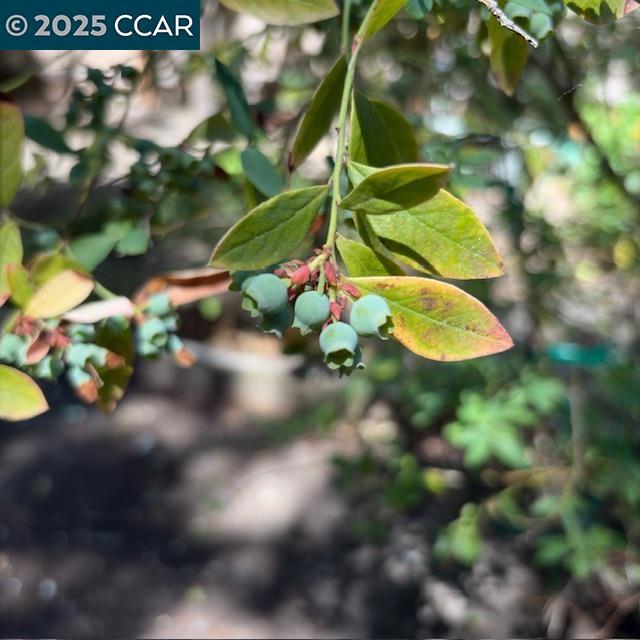https://media.crmls.org/mediaz/8a6f08cc-3eb6-4f43-ac7c-6f6ce5315d21.jpg?preset=X-Large