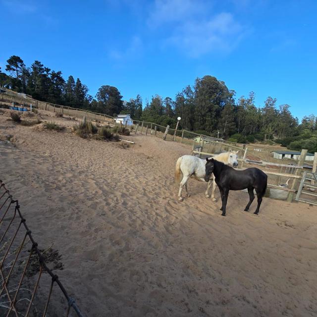 19963 Pesante Road, Salinas CA: https://media.crmls.org/mediaz/8a77f3e1-f393-4945-8d73-d682dad393c5.jpg