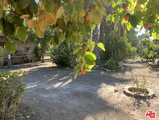 31523 Aguacate Road, San Juan Capistrano CA: https://media.crmls.org/mediaz/8a8179b4-e25e-43f4-a4bf-4c1b3b5f1cee.jpg