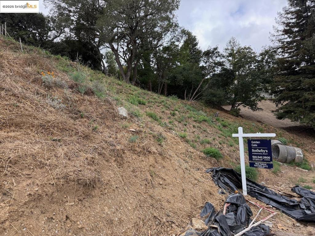 MLS #41111298 image #5