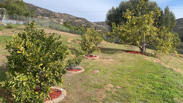 14674 Lyons Valley Road, Jamul CA: https://media.crmls.org/mediaz/8a8cace6-407c-468f-92bd-dd54d606db1c.jpg