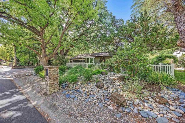 203 Roberta Ave, Pleasant Hill CA: https://media.crmls.org/mediaz/8a9e1ac5-2384-4c77-850c-6e376c3120b1.jpg