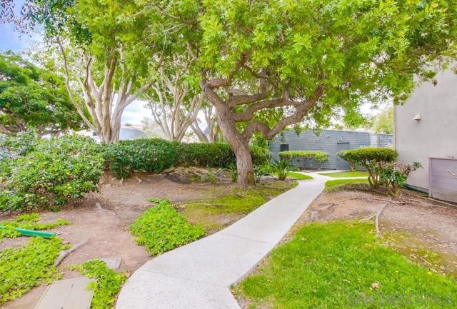 3262 Ashford St, San Diego CA: https://media.crmls.org/mediaz/8aa098b4-60bf-40ff-9e54-68982f7b61ba.jpg