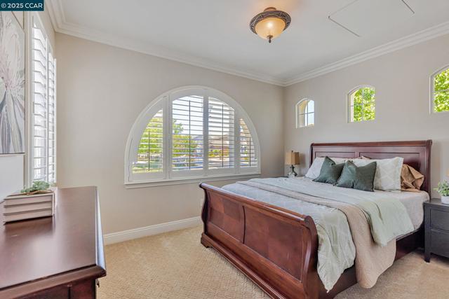 Downstairs bedroom