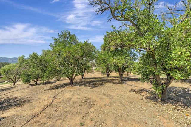 Detail Gallery Image 44 of 45 For 30136 Rolling Hills Dr, Valley Center,  CA 92082 - 3 Beds | 2 Baths