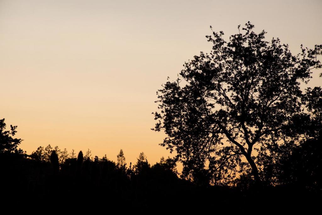 https://media.crmls.org/mediaz/8aaf3ef9-b1d1-4556-8acc-6a97d5e3fa6c.jpg?preset=X-Large