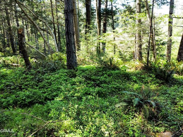 Detail Gallery Image 18 of 23 For 44551 Raven Ln, Mendocino,  CA 95460 - – Beds | – Baths