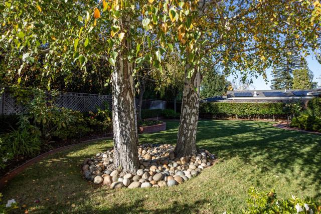 668 Tomi Lea Street, Los Altos CA: https://media.crmls.org/mediaz/8ab48936-6e0e-4df9-af56-dbe3dd375795.jpg