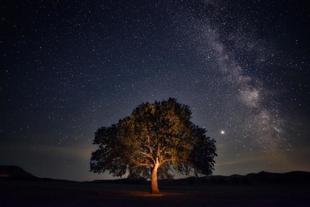 770 Limekiln Road, Hollister CA: https://media.crmls.org/mediaz/8ab55be7-6198-4ffe-9bbb-ada5f139e2d2.jpg
