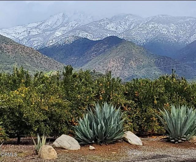 Detail Gallery Image 45 of 46 For 303 Lark Ellen Ave, Ojai,  CA 93023 - 2 Beds | 1 Baths